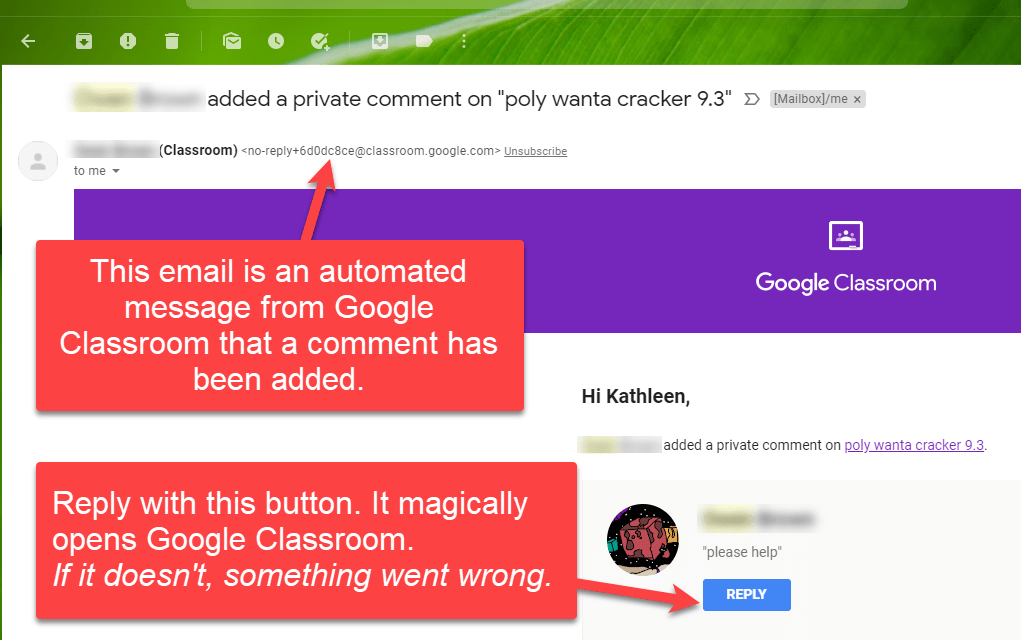 Email screen shot showing the automated Gmail and  REPLY button users should click. 